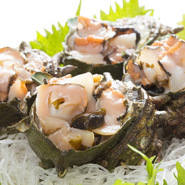 活貝・サザエ (約130~150g)
