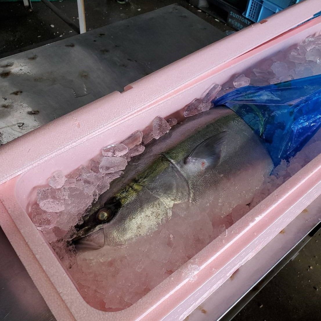 ブリしゃぶセット