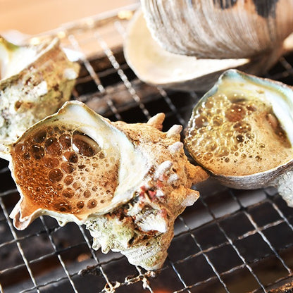 活貝・サザエ (約130～150g)